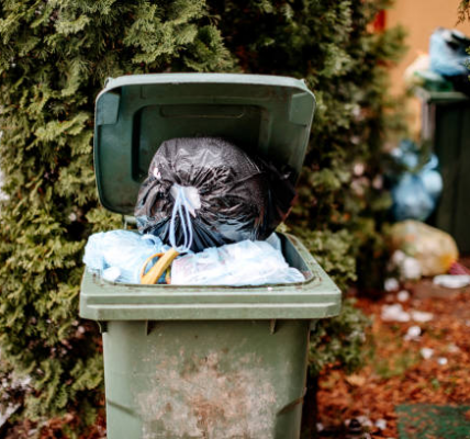 Effective Tips for Eliminating Odors from Your Outdoor Trash Bin