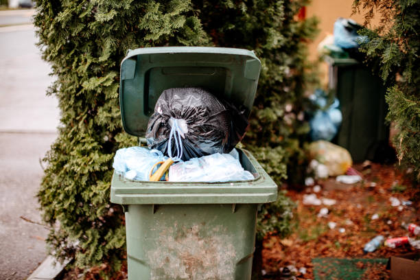 Effective Tips for Eliminating Odors from Your Outdoor Trash Bin
